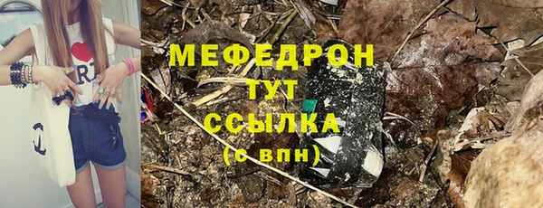 прущие грибы Абаза