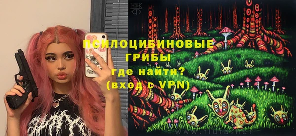 крисы Белая Холуница