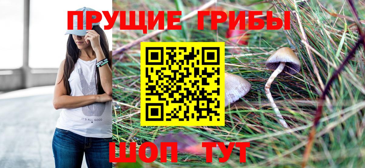 Александров  Псилоцибиновые грибы GOLDEN TEACHER  Вход с VPN 