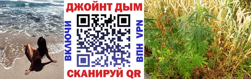 Марихуана SATIVA & INDICA  мориарти официальный сайт  Александров  купить наркотик 